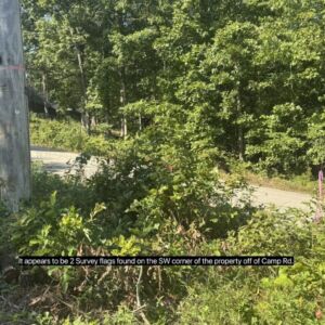 1.62 acres in Poplar Bluff, MO (Butler County) - APN 1090809320000000004010 (photo 8)